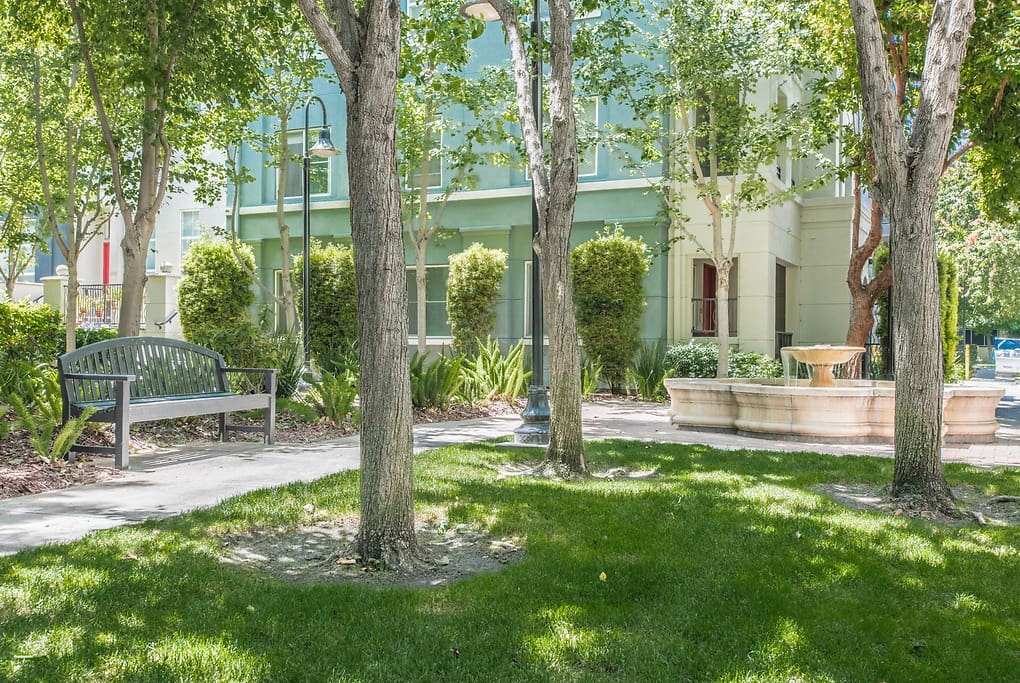 Museum Park Apartments Garden Bench and Water feature